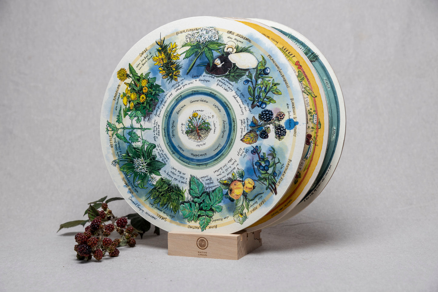 Seasonal Foraging, Hedgerow — Wooden Circular Print