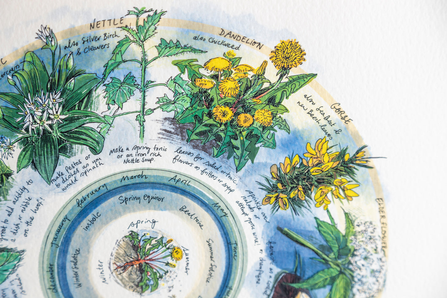 Seasonal Foraging, Hedgerow — Wooden Circular Print