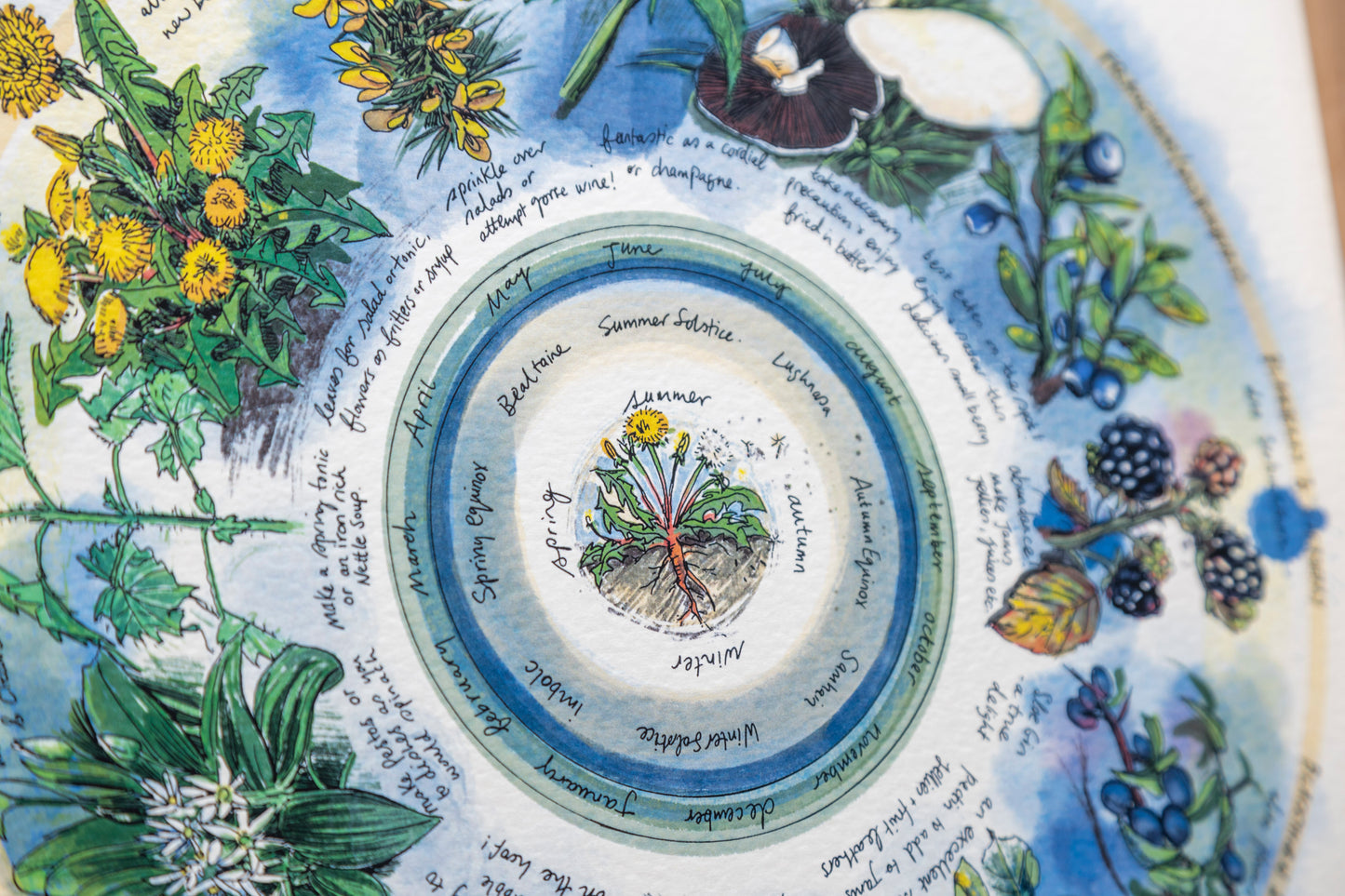 Seasonal Foraging, Hedgerow — Limited Edition Print on Paper