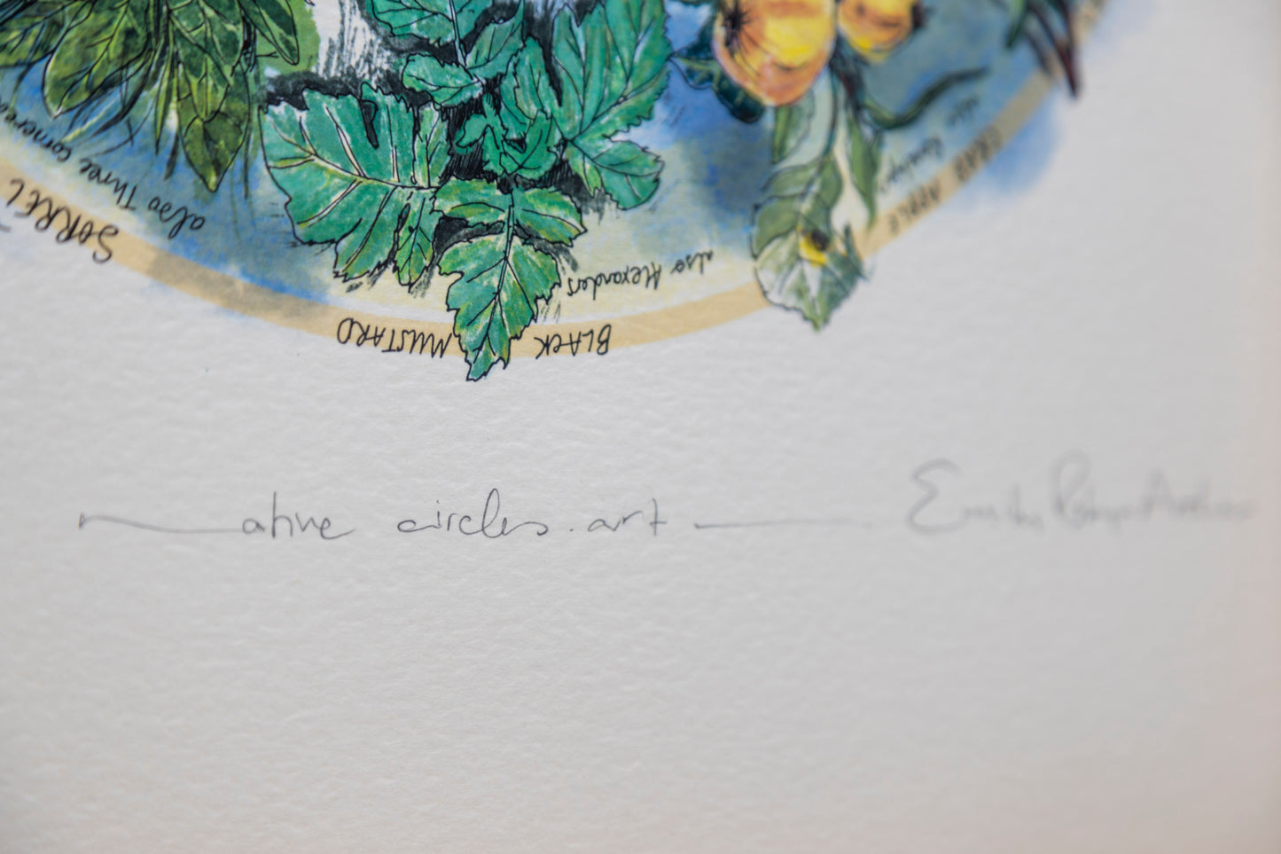 Seasonal Foraging, Hedgerow — Limited Edition Print on Paper