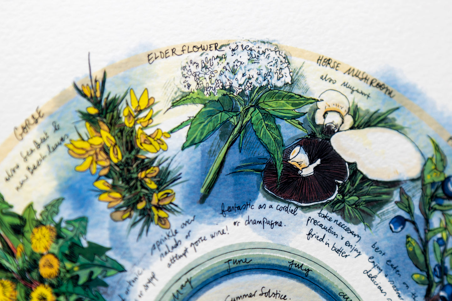 Seasonal Foraging, Hedgerow — Limited Edition Print on Paper