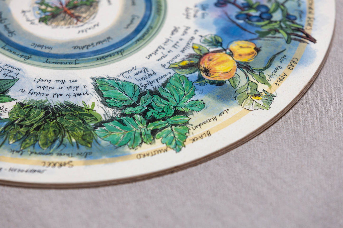 Seasonal Foraging, Hedgerow — Wooden Circular Print