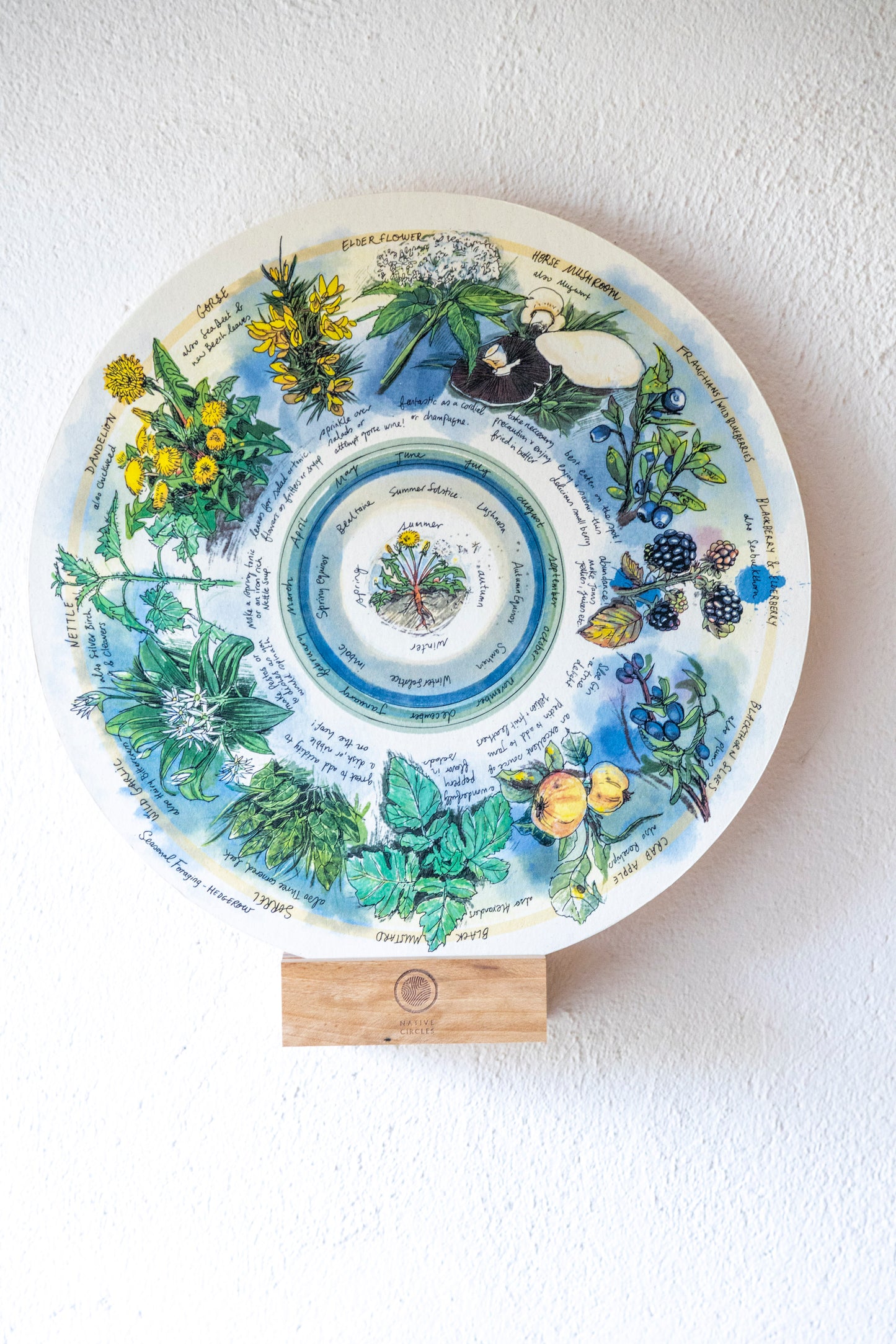 Seasonal Foraging, Hedgerow — Wooden Circular Print