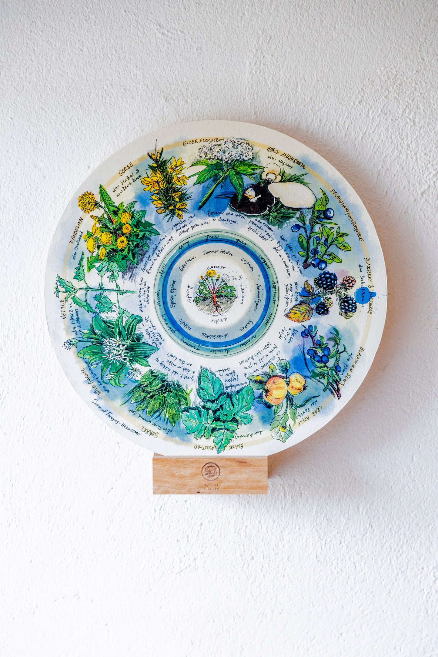 Seasonal Foraging, Hedgerow — Wooden Circular Print