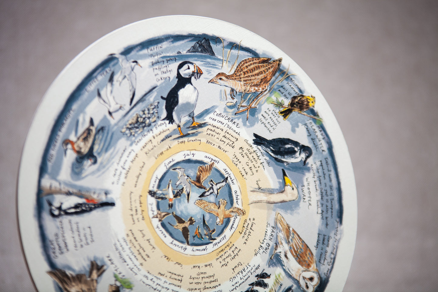 Some Rare Birds of Ireland — Wooden Circular Print