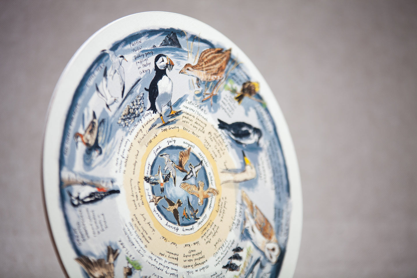 Some Rare Birds of Ireland — Wooden Circular Print