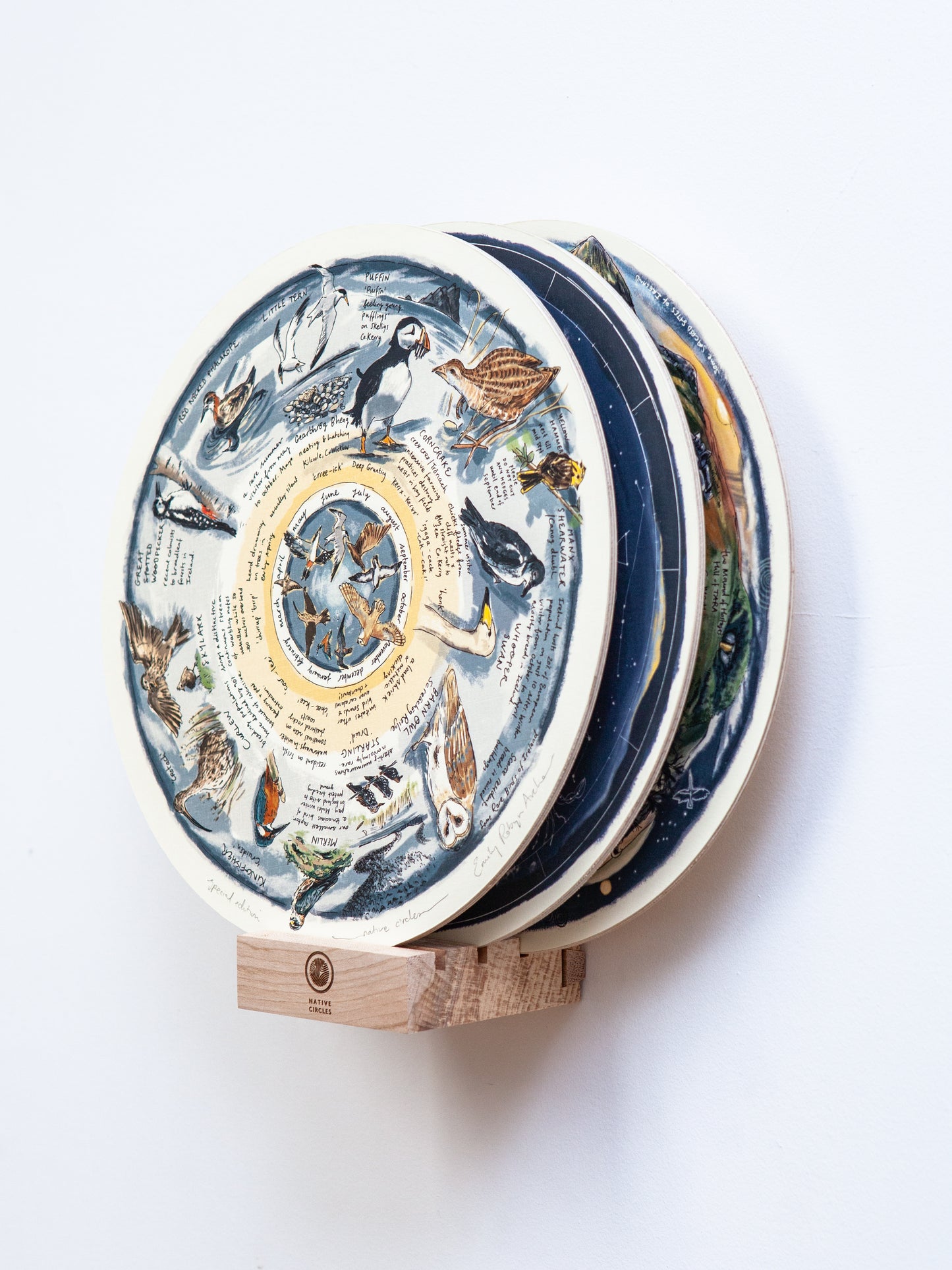 Some Rare Birds of Ireland — Wooden Circular Print
