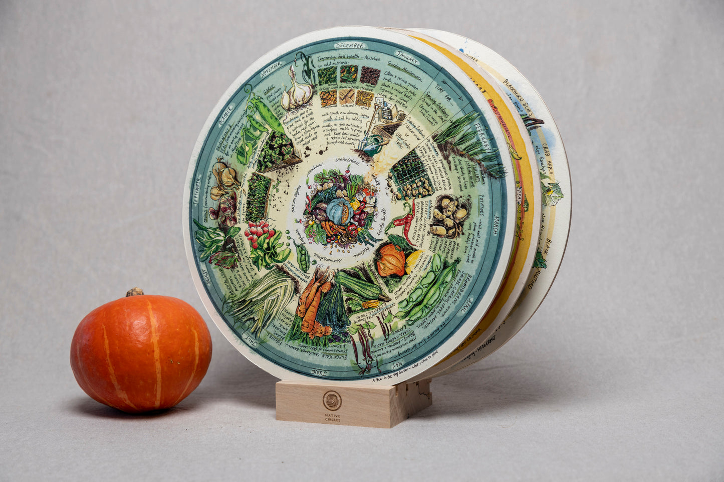 Veg Patch (What to Plant & When) — Wooden Circular Print