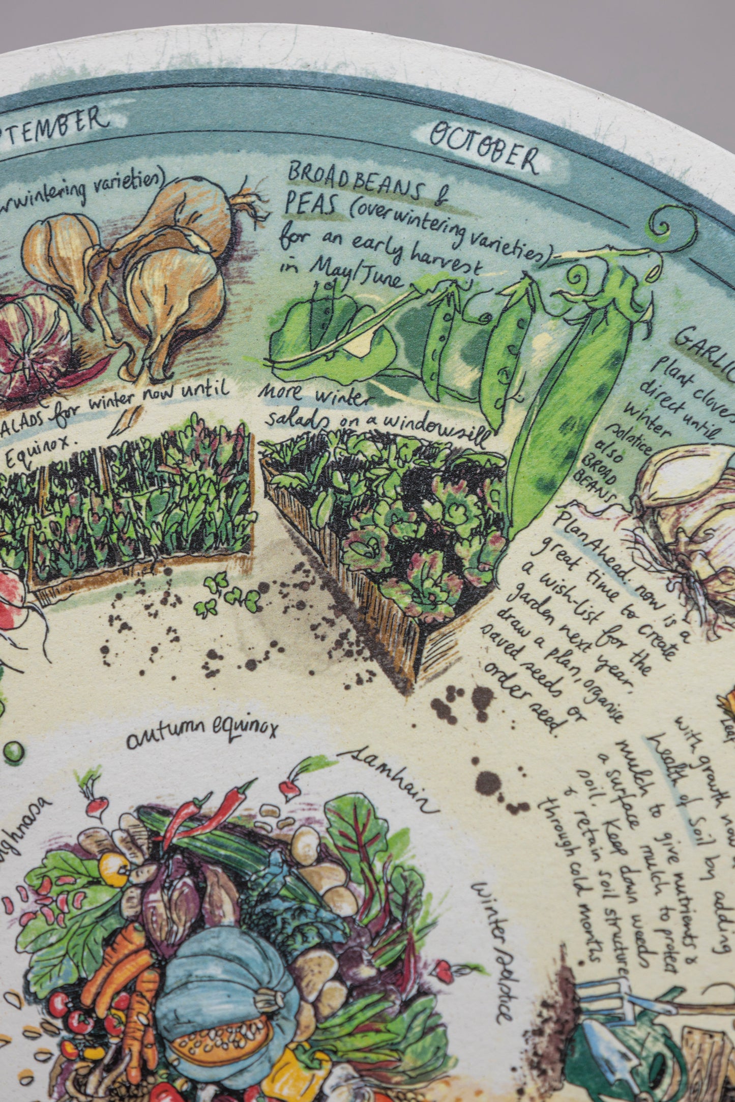 Veg Patch (What to Plant & When) — Wooden Circular Print
