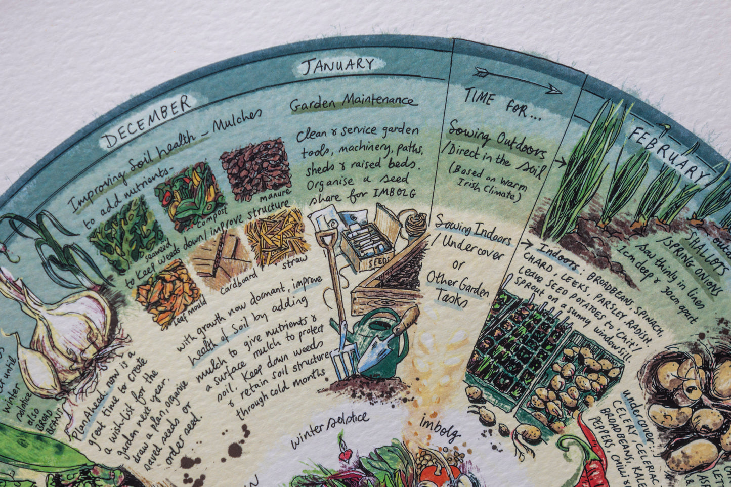 Veg Patch (What to Plant & When) — Limited Edition Print on Paper