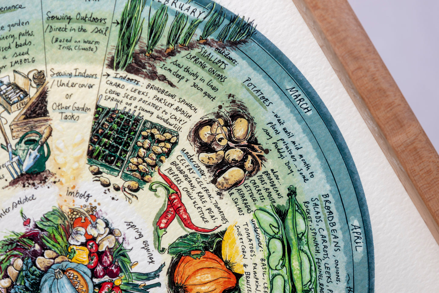 Veg Patch (What to Plant & When) — Limited Edition Print on Paper
