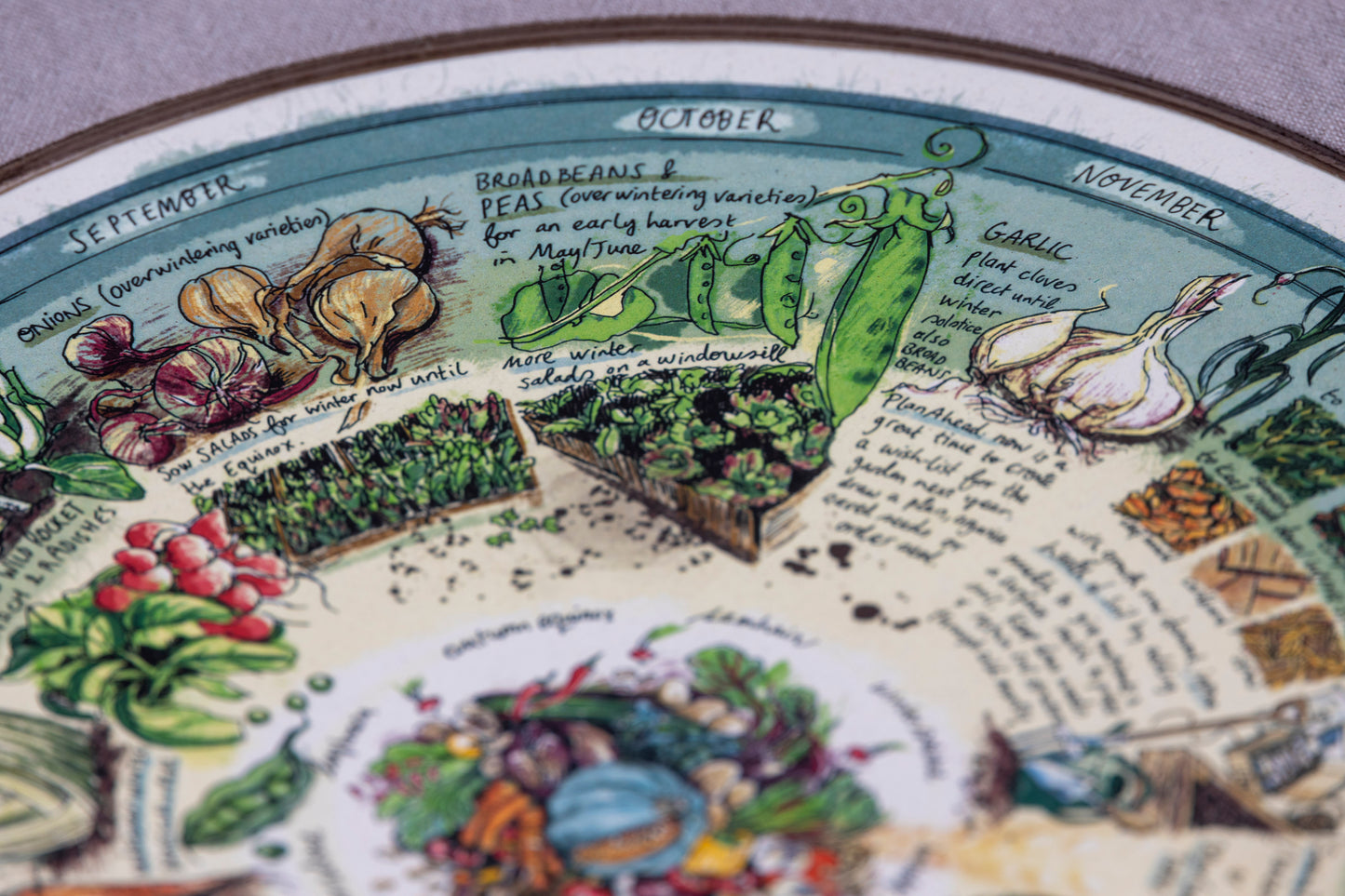 Veg Patch (What to Plant & When) — Wooden Circular Print