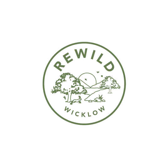 Rewild Wicklow Launch Tree Planting Certificates with Artwork by Native Circles Art