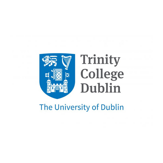 Presentation by Emily in Trinity College Dublin 2017