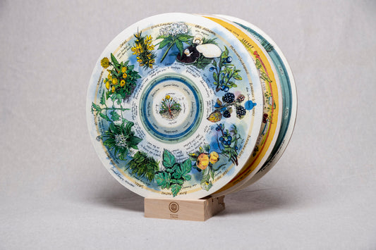 Seasonal Foraging, Hedgerow — Wooden Circular Print