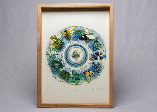 Seasonal Foraging, Hedgerow — Limited Edition Print on Paper