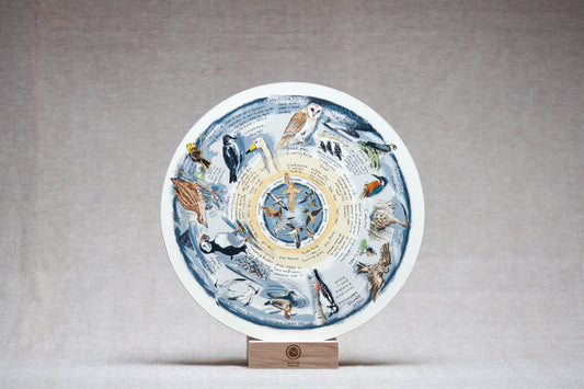 Some Rare Birds of Ireland — Wooden Circular Print