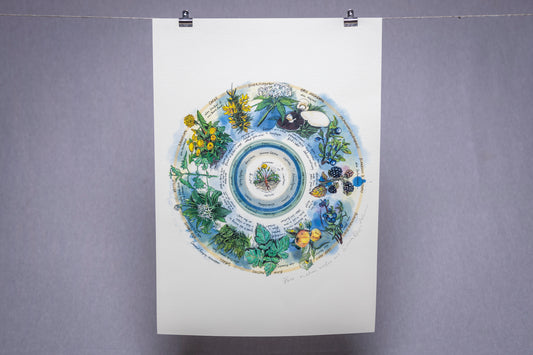 Seasonal Foraging, Hedgerow — Limited Edition Print on Paper