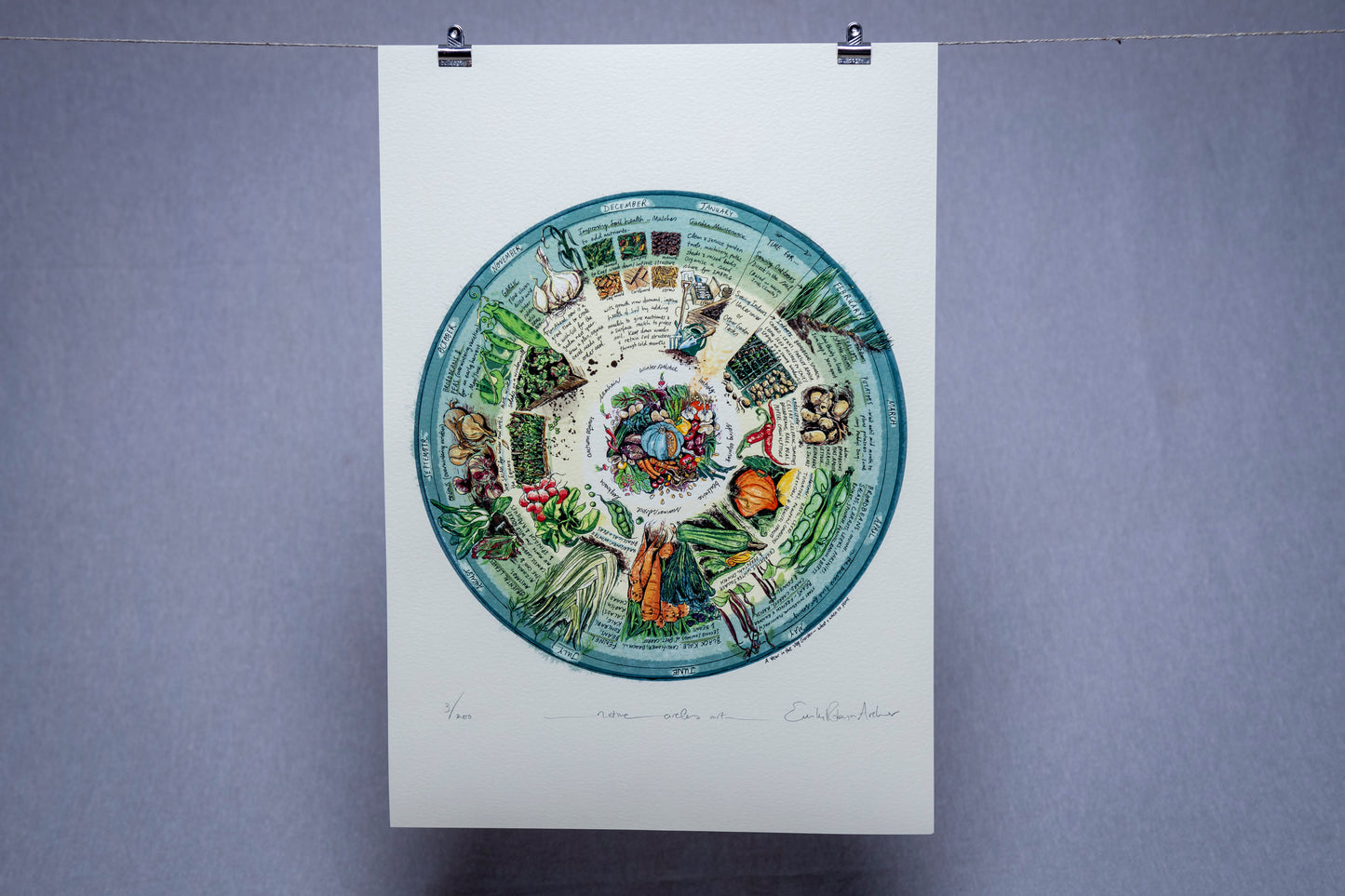 Veg Patch (What to Plant & When) — Limited Edition Print on Paper